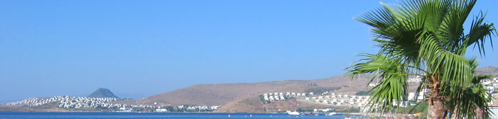Crucero Oriente Medio